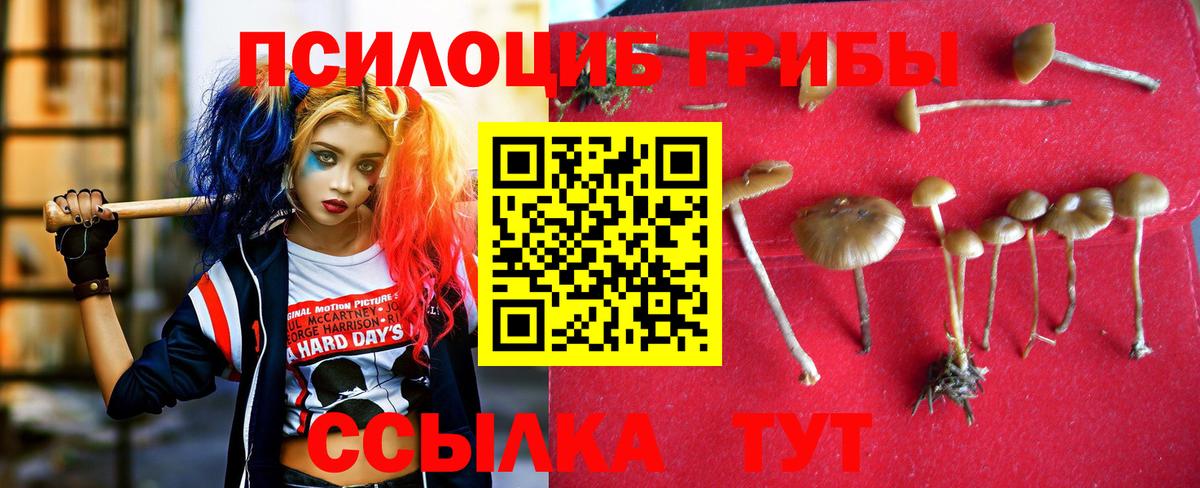 наркошоп  Галлюциногенные грибы Psilocybine cubensis  Вход с VPN  Бузулук 