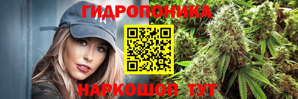 Бошки Шишки план Бузулук